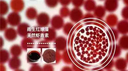 女性嵌合型染色体做三代试管，女性嵌合型染色体试管成功率多少？-高薪供卵